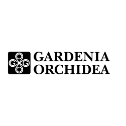 gardenia orchidea